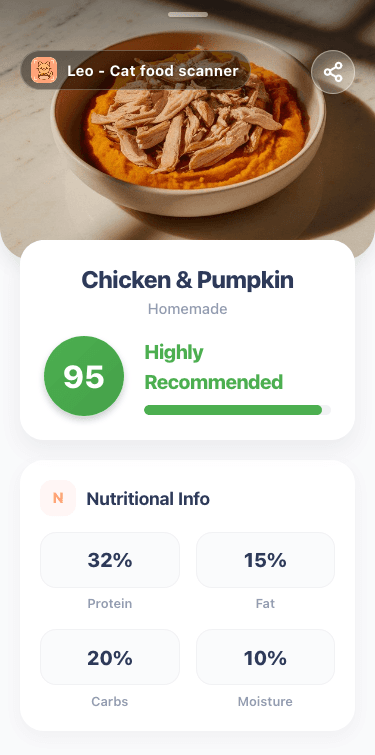 Ingredient scan showing a homemade chicken and pumpkin cat food recipe