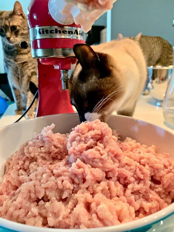 Preparing ground turkey for a homemade cat food recipe