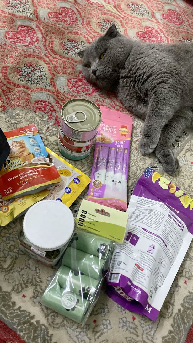 Cat lying next to various Purina ONE cat treats, wet food cans, and snack products